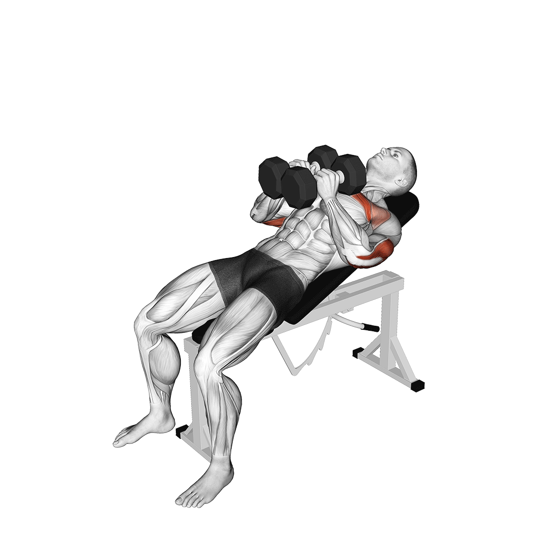 پرس بالا سینه دمبل چسبیده (Incline Dumbbell Hex Press) — حرکت سینه (آموزش تصویری)