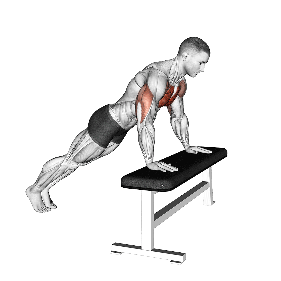 شنا روی میز (Incline Push Up Bench) — حرکت سینه (آموزش تصویری)