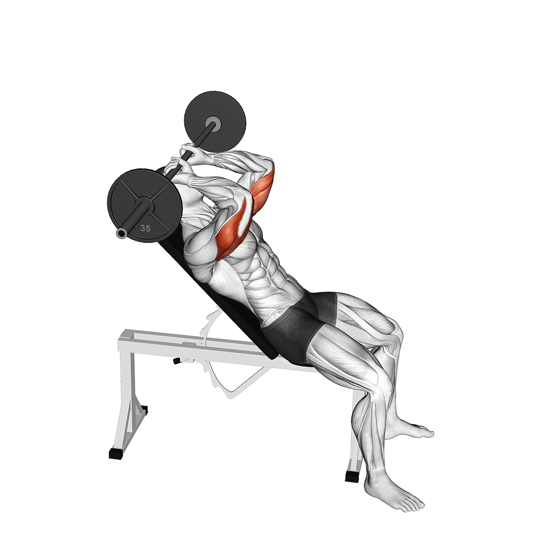پشت‌بازو هالتر خوابیده روی میز شیب‌دار (Incline Skullcrusher) — حرکت پشت‌بازو (آموزش تصویری)