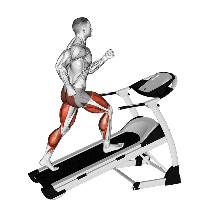 تردمیل شیب‌دار (Incline Treadmill) — حرکت هوازی (آموزش تصویری)
