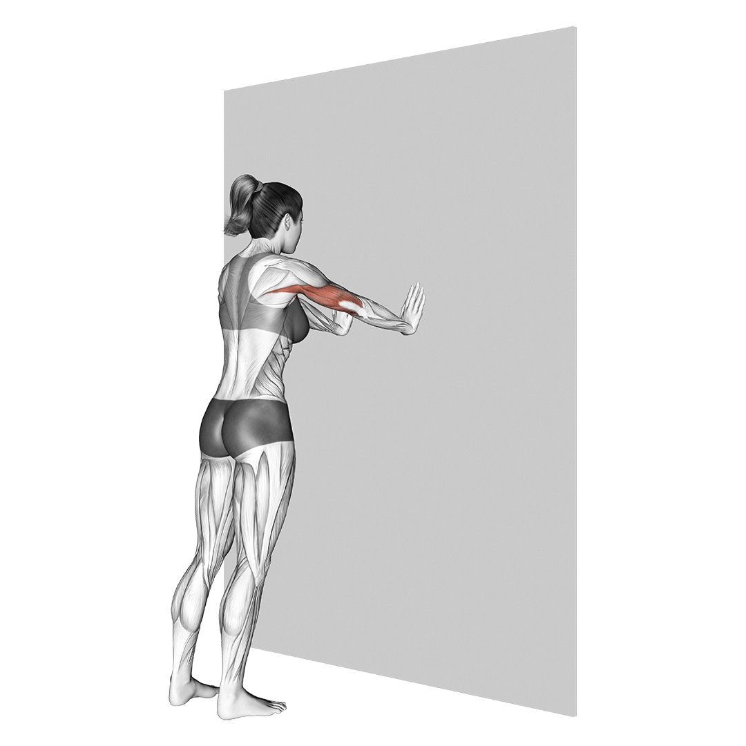 شنا دیوار (Incline Wall Push Ups) — حرکت سینه (آموزش تصویری)
