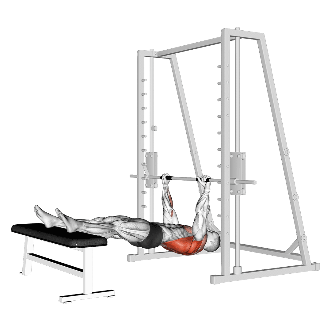 زیربغل معکوس پا بالا (Inverted Row Feet Elevated) — حرکت زیربغل (آموزش تصویری)