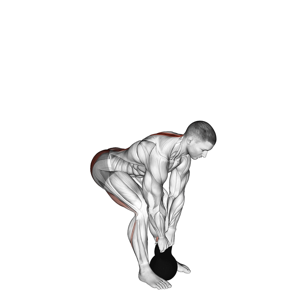 گود مورنینگ کتلبل (Kettlebell Good Morning) — حرکت همسترینگ (آموزش تصویری)