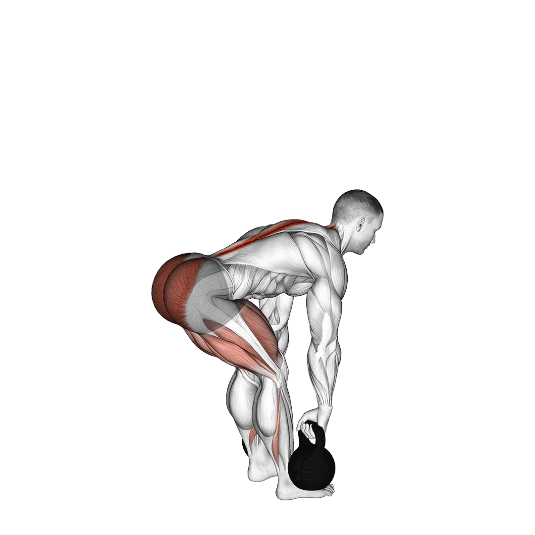 ددلیفت رومانیایی کتل‌بل (Kettlebell Romanian Deadlift) — حرکت همسترینگ (آموزش تصویری)