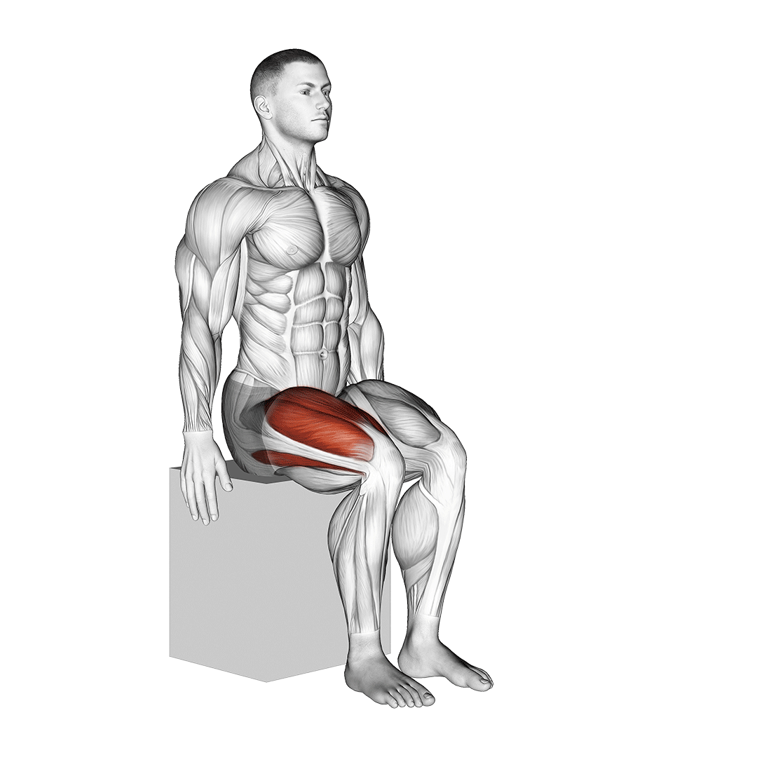 جلو پا دستگاه (Knee Extension) — حرکت چهارسر (آموزش تصویری)