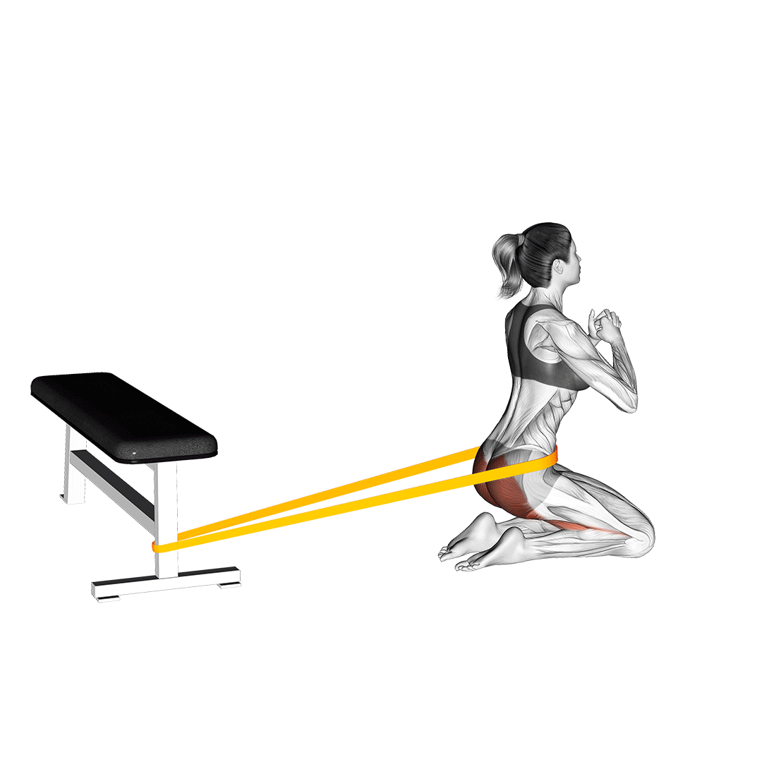 هیپ تراست زانو با کش (Kneeling Banded Hip Thrusts) — حرکت باسن (آموزش تصویری)