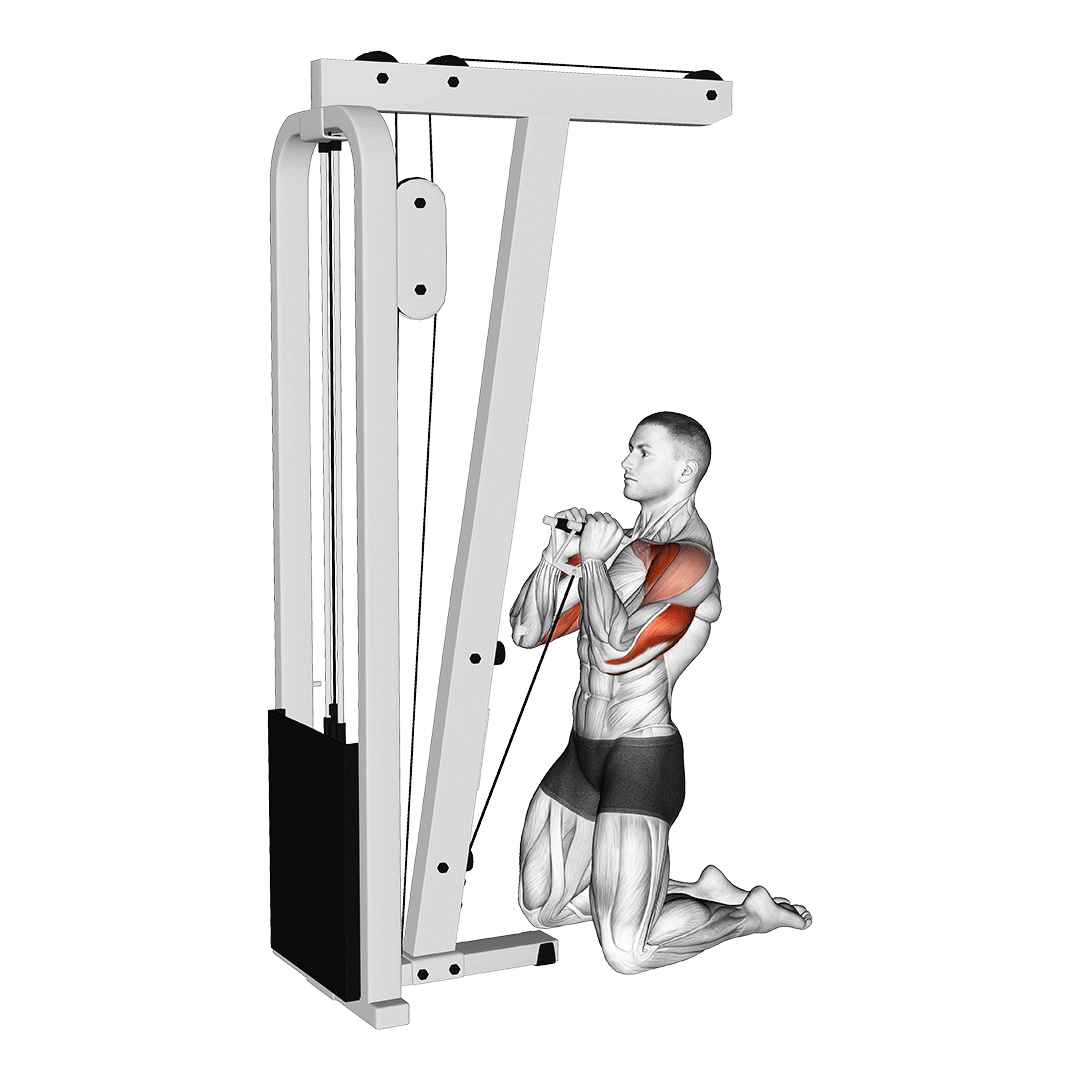 پرس سینه سیمکش زانو زده (Kneeling Cable Press) — حرکت سینه (آموزش تصویری)