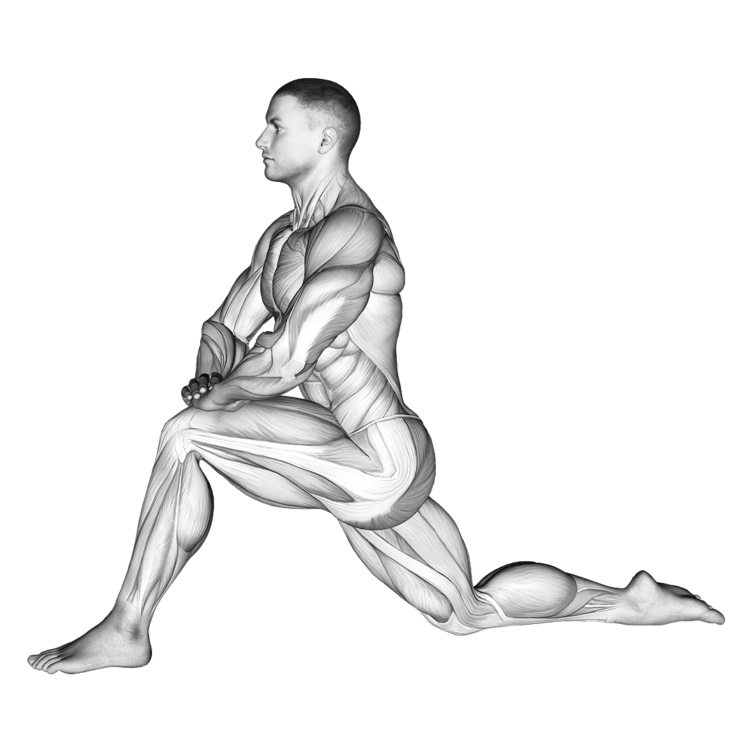 کشش خمکننده لگن (Kneeling Hip Flexor Stretch) — حرکت چهارسر (آموزش تصویری)