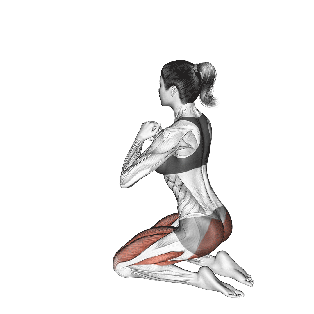 هیپ تراست زانو زده (Kneeling Hip Thrust) — حرکت باسن (آموزش تصویری)