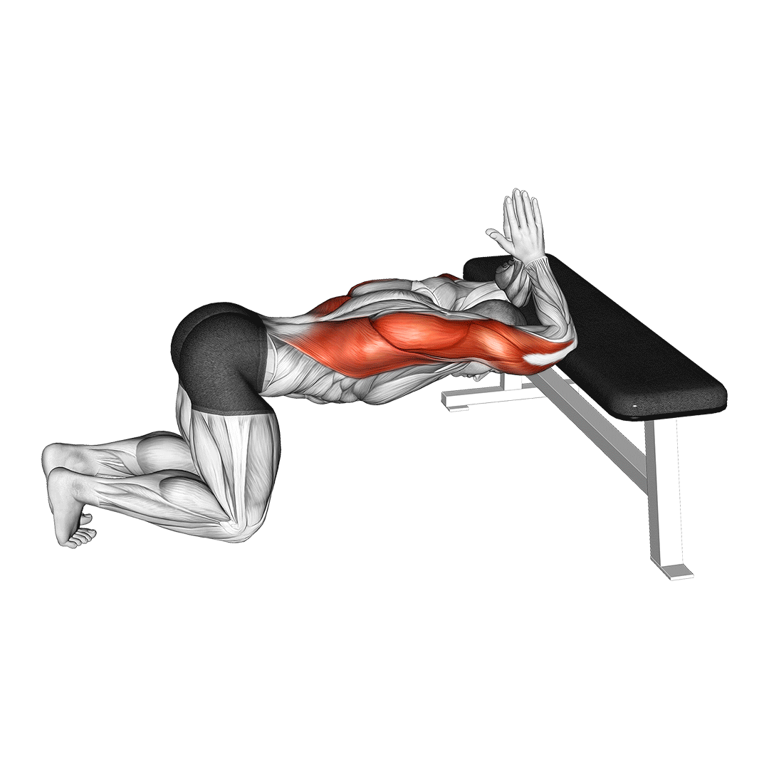 کشش زیربغل روی میز (Kneeling Lat Stretch On Bench) — حرکت زیربغل (آموزش تصویری)