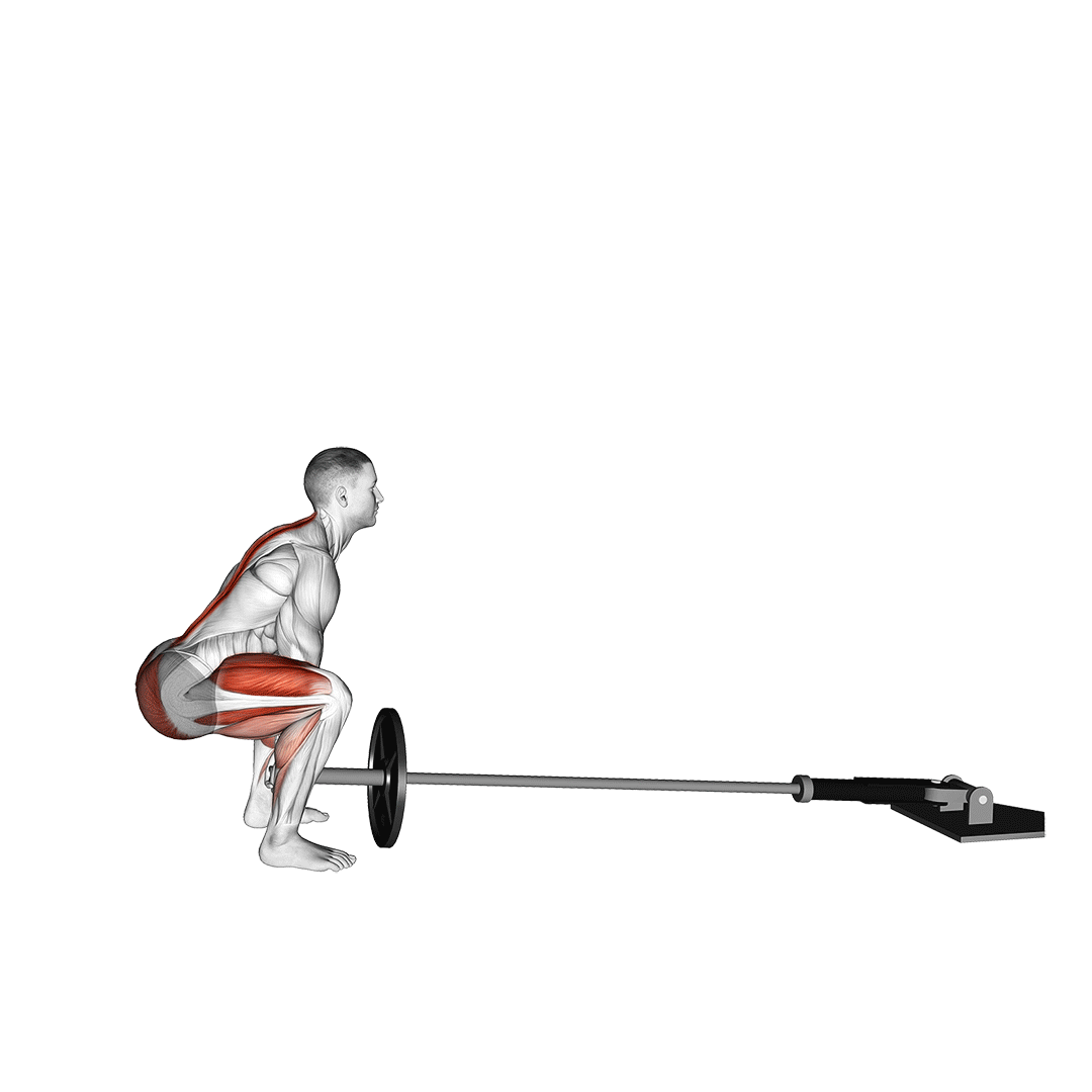 تکنیک ددلیفت لندماین (Landmine Deadlift Movement) — حرکت فیله (آموزش تصویری)