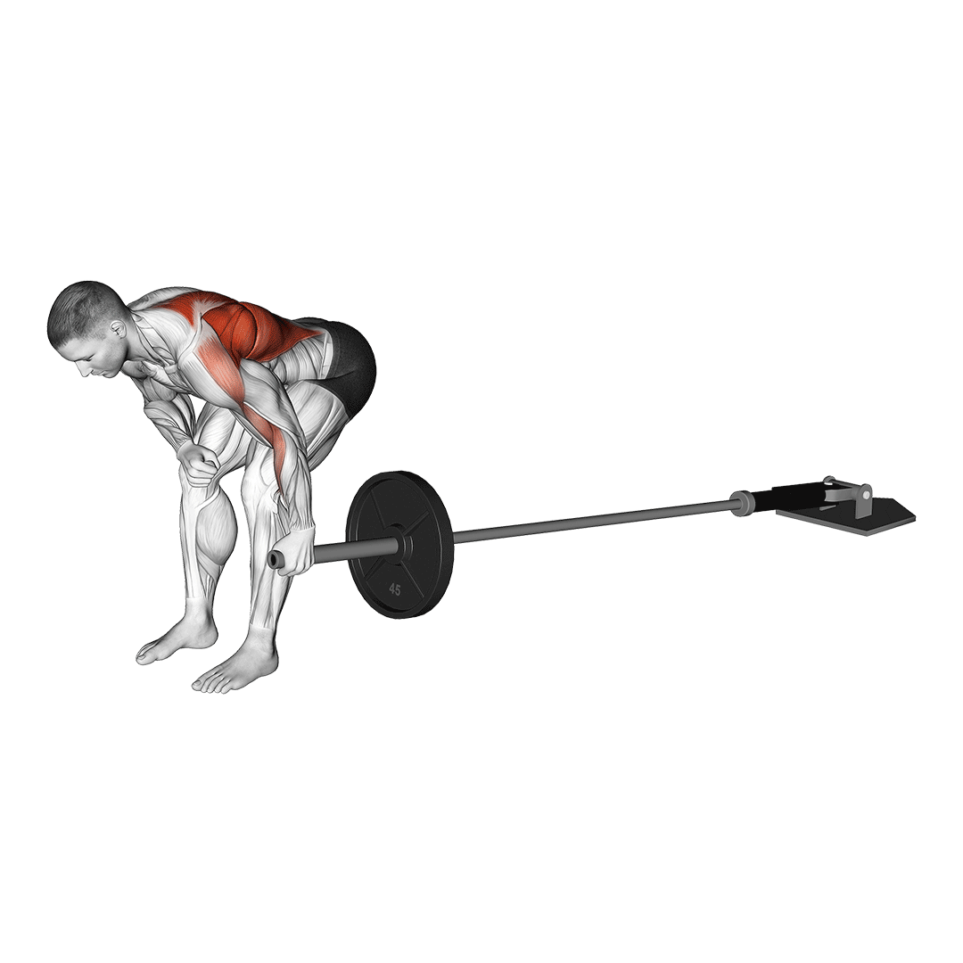 زیربغل لندماین تکدست (Landmine Single Arm Row) — حرکت زیربغل (آموزش تصویری)