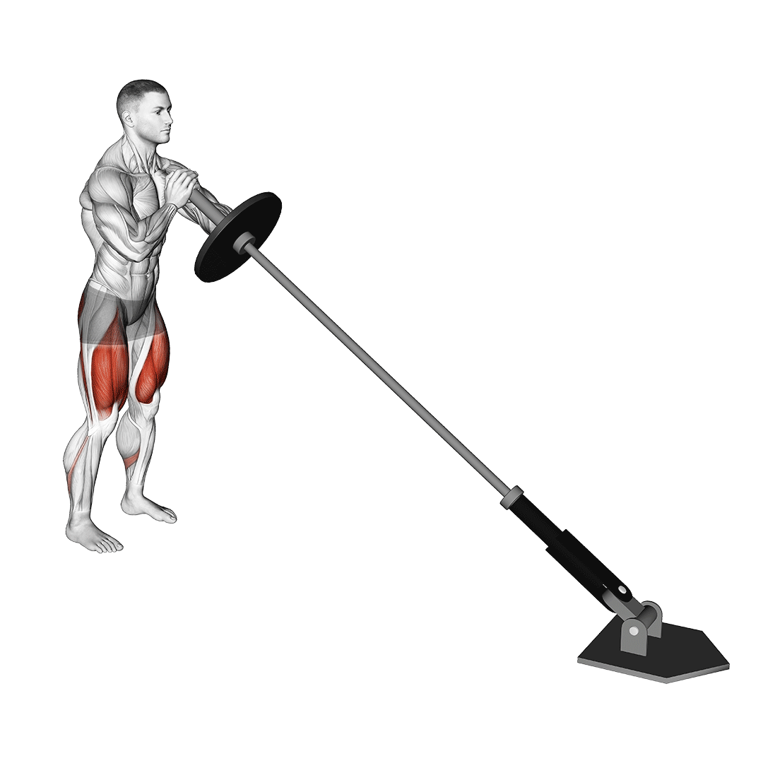 اسکوات لندماین (Landmine Squat) — حرکت چهارسر (آموزش تصویری)