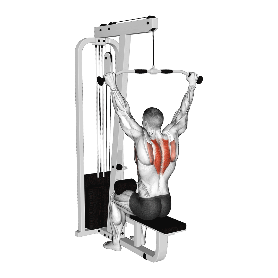 شراگ زیربغل سیمکش (Lat Pulldown Reverse Shrug) — حرکت پشت (آموزش تصویری)