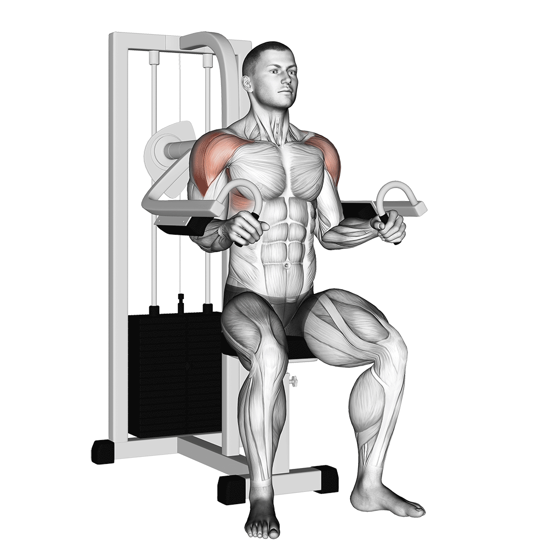نشر جانب دستگاه (Lateral Raise Machine) — حرکت سرشانه (آموزش تصویری)