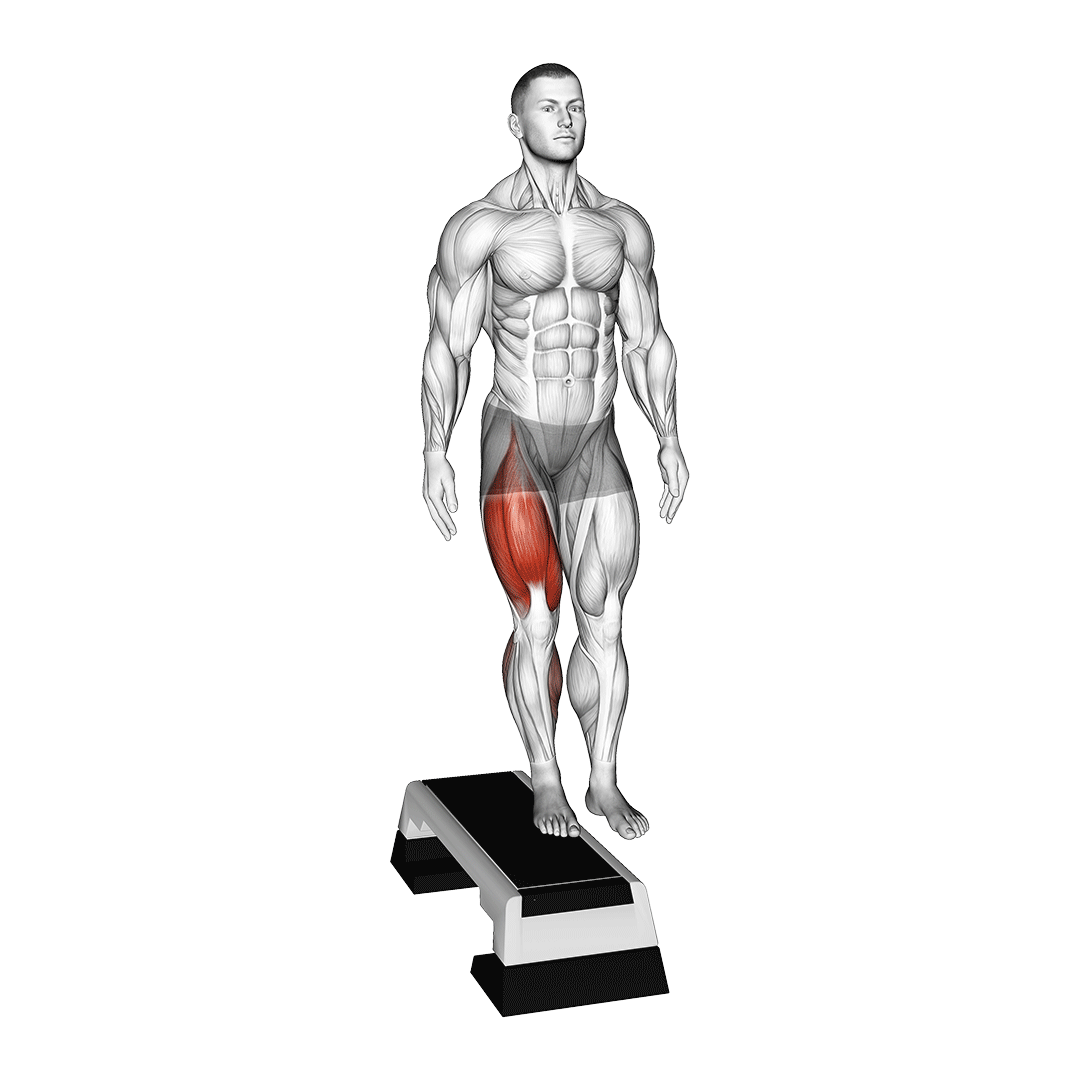 استپآپ از پهلو (Lateral Step Up Muscles) — حرکت باسن (آموزش تصویری)