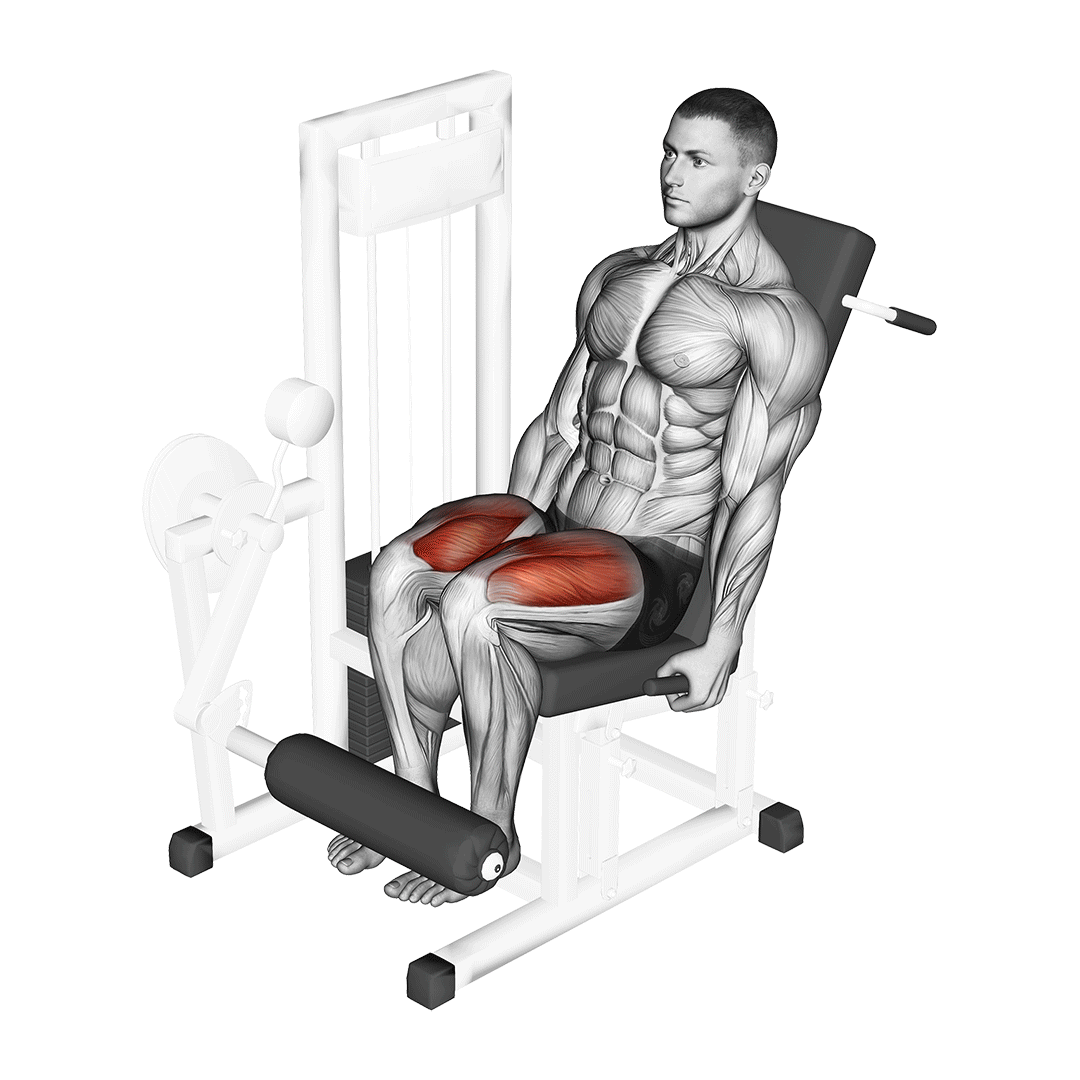 جلو پا دستگاه (Leg Extension Machine) — حرکت چهارسر (آموزش تصویری)
