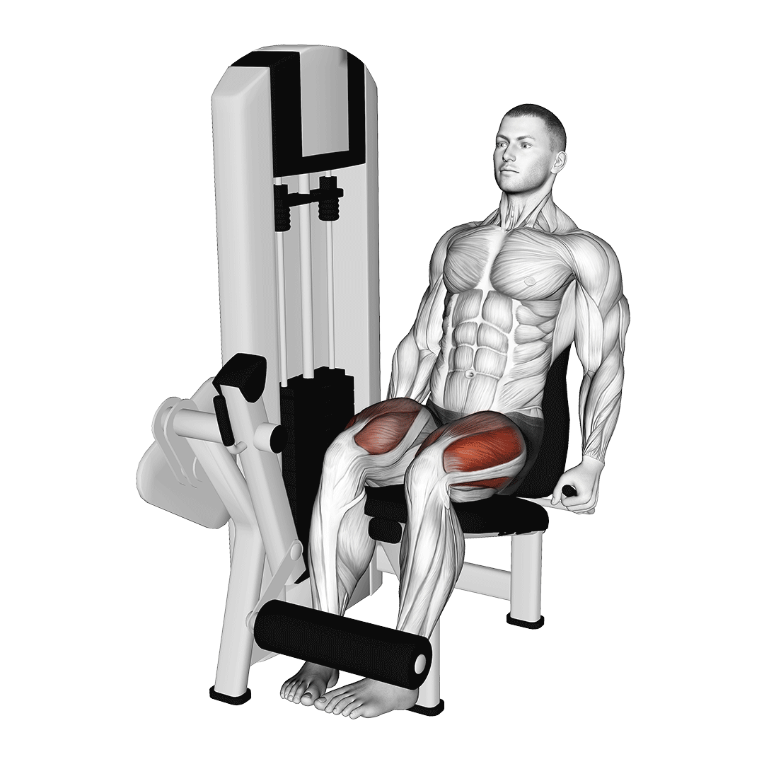 جلو پا با پنجه داخلی (Leg Extension Toes Inward) — حرکت چهارسر (آموزش تصویری)