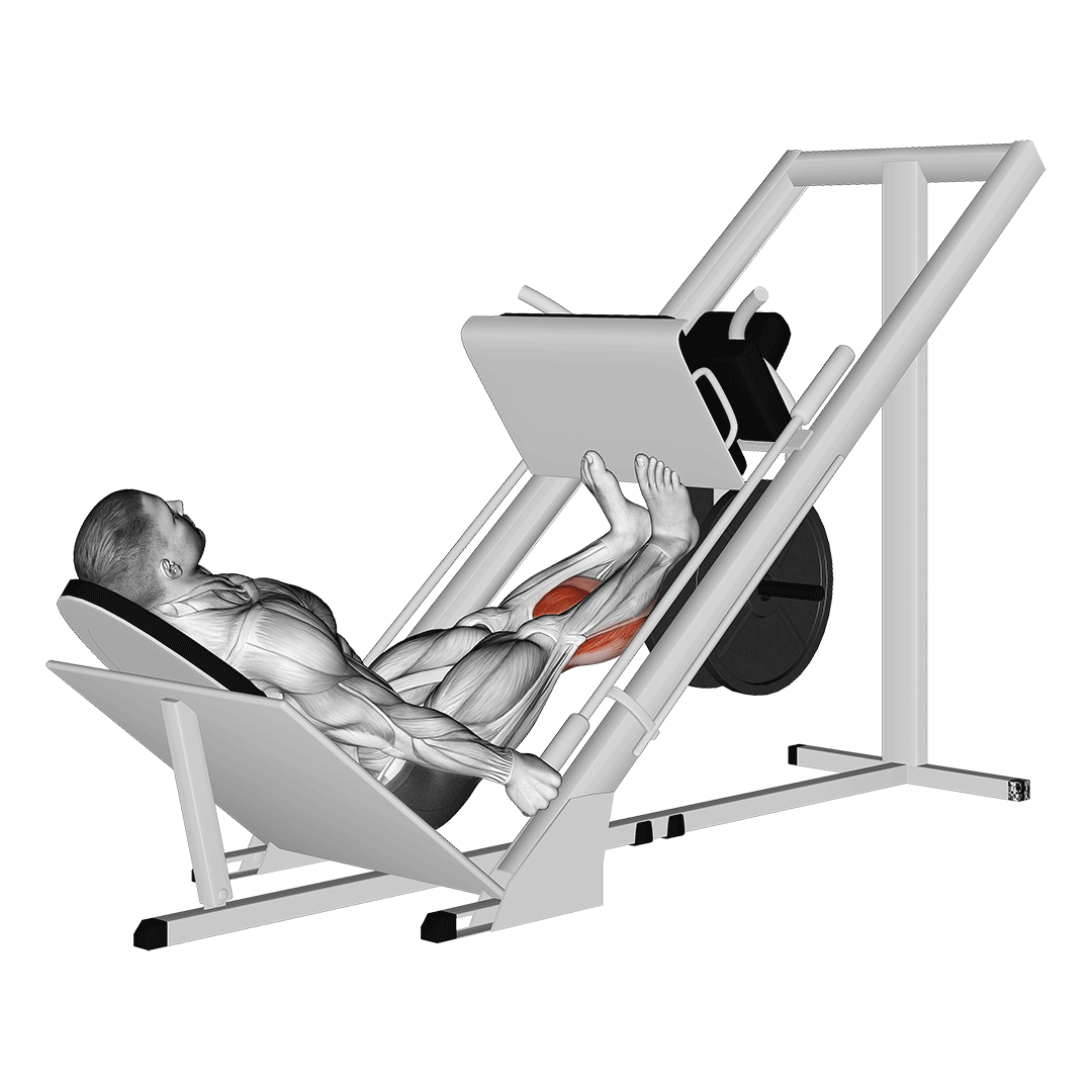 ساق پا در پرس پا (Leg Press Calf Raise) — حرکت ساق (آموزش تصویری)
