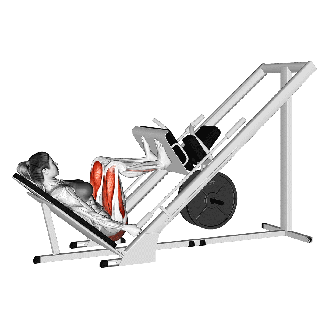 پرس پا (Leg Press) — حرکت چهارسر (آموزش تصویری)