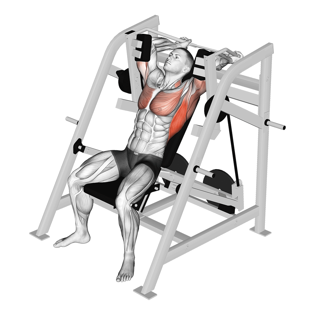 پولاور دستگاه (Lever Pullover Machine) — حرکت زیربغل (آموزش تصویری)