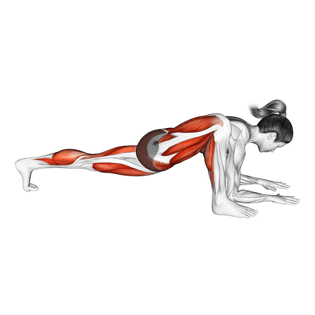 حرکت کششی مارمولک (Lizard Pose Stretch) — حرکت باسن (آموزش تصویری)