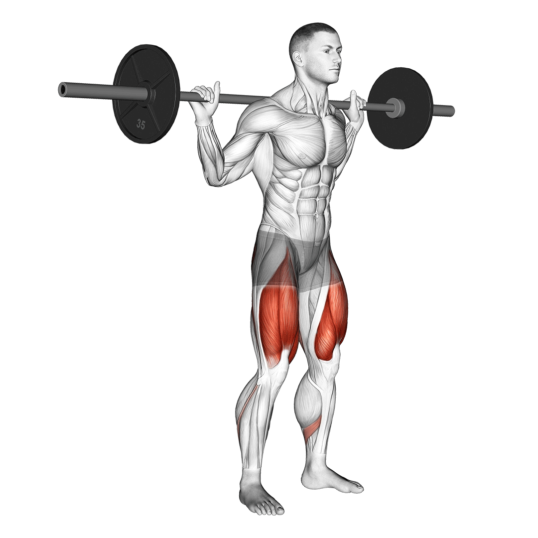 اسکوات لو-بار (Low Bar Squat Form) — حرکت چهارسر (آموزش تصویری)