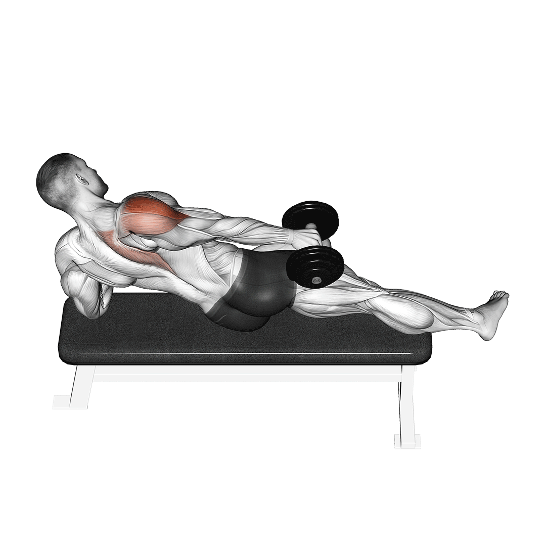 نشر جانب دمبل خوابیده (Lying Dumbbell Lateral Raise) — حرکت سرشانه (آموزش تصویری)