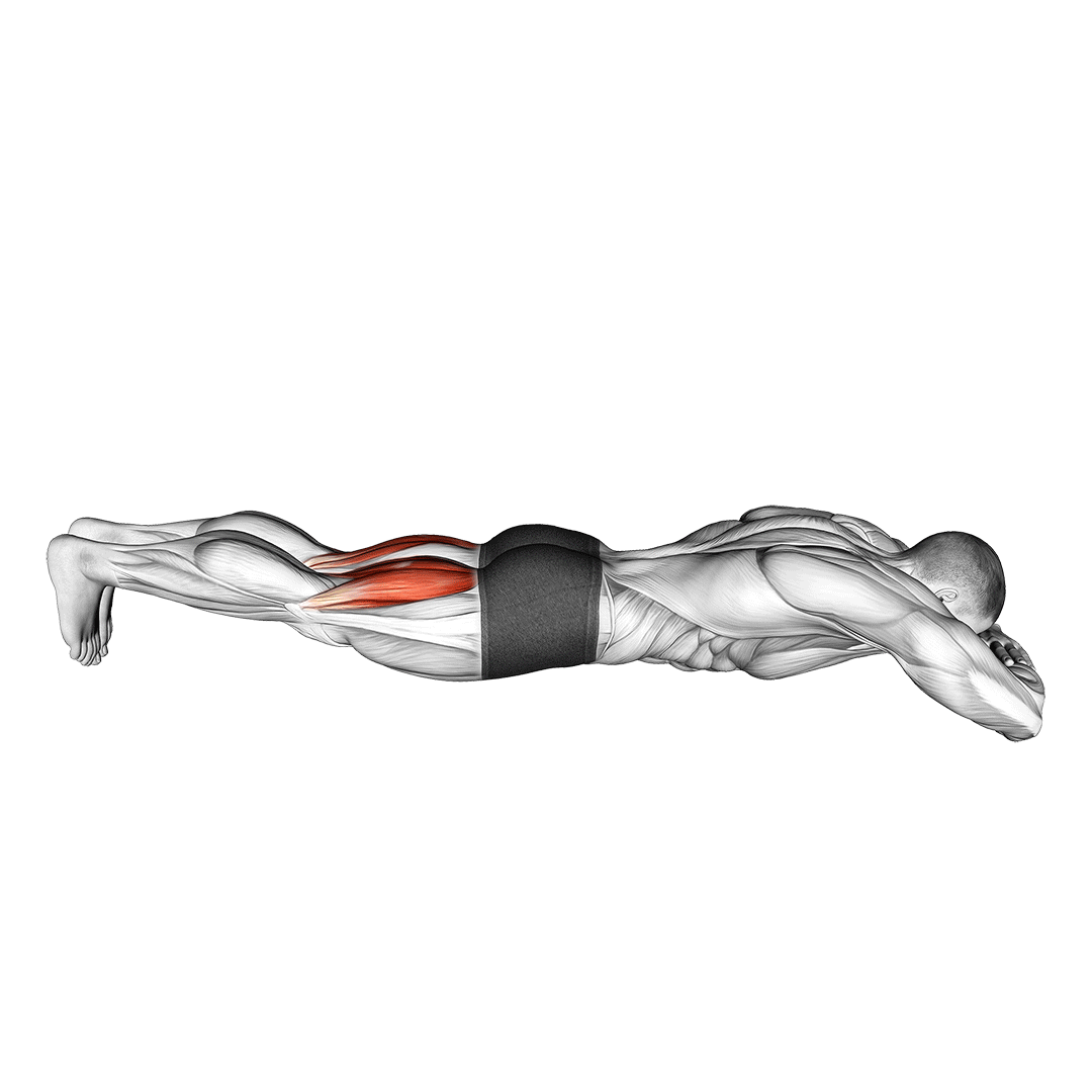 پشتپا دستگاه خوابیده (Lying Hamstring Curl) — حرکت همسترینگ (آموزش تصویری)