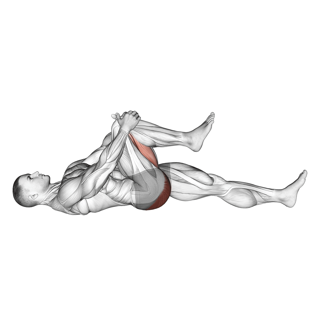 زانو در شکم خوابیده (Lying Knee To Chest) — حرکت شکم (آموزش تصویری)