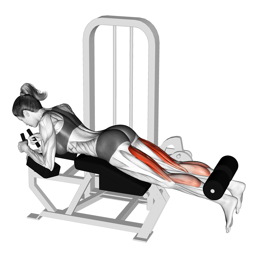 پشت پا دستگاه خوابیده (Lying Leg Curl) — حرکت همسترینگ (آموزش تصویری)