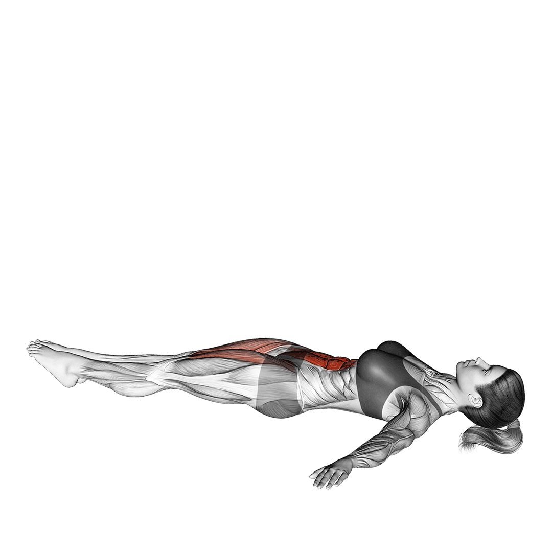 لیفت پا خوابیده (Lying Leg Raise) — حرکت شکم (آموزش تصویری)