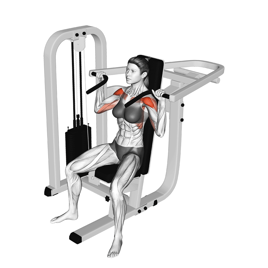 پرس سرشانه دستگاه (Machine Shoulder Press) — حرکت سرشانه (آموزش تصویری)
