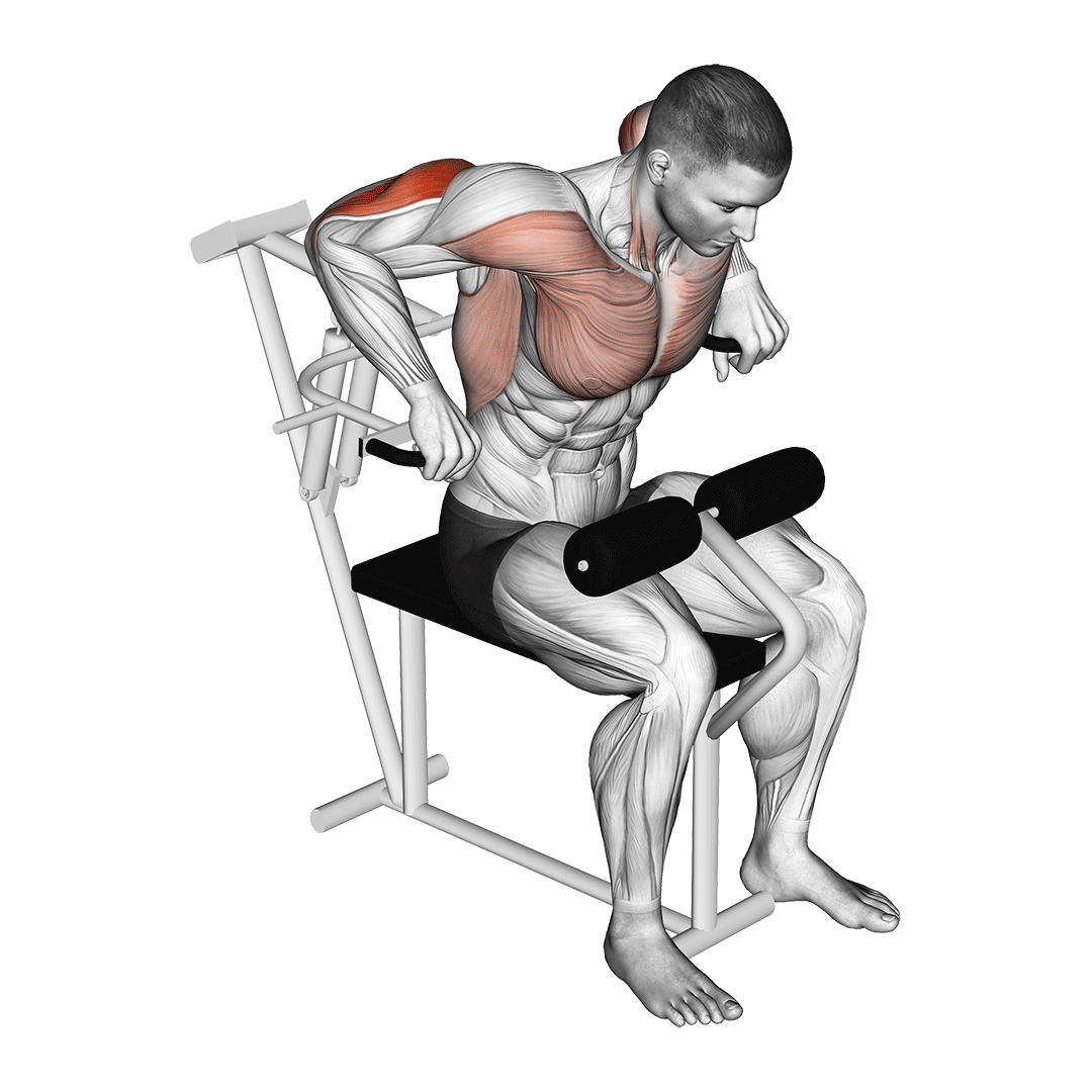 پشت بازو دستگاه (Machine Tricep Extension) — حرکت پشتبازو (آموزش تصویری)