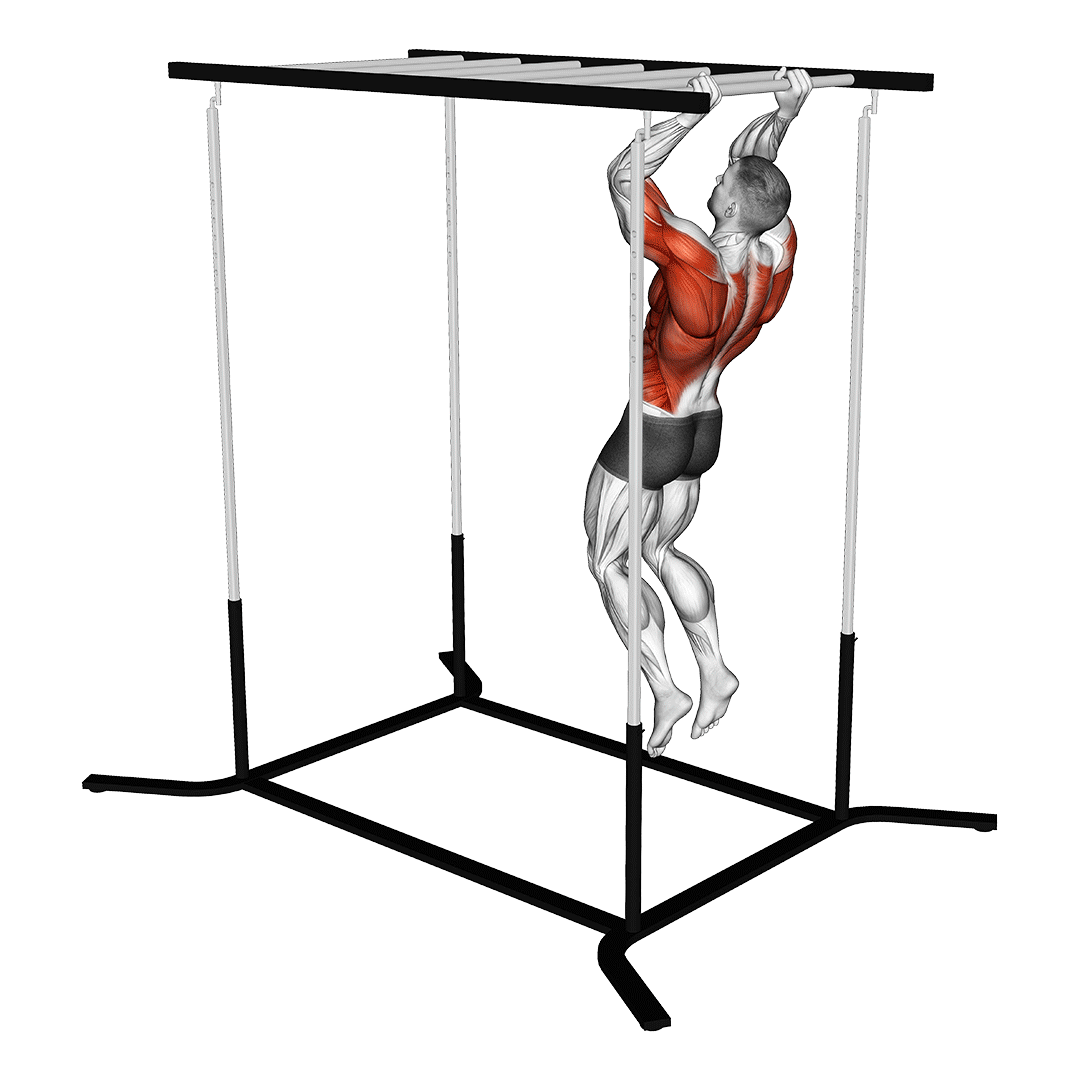 میله بارفیکس نردبانی (Monkey Bars) — حرکت زیربغل (آموزش تصویری)
