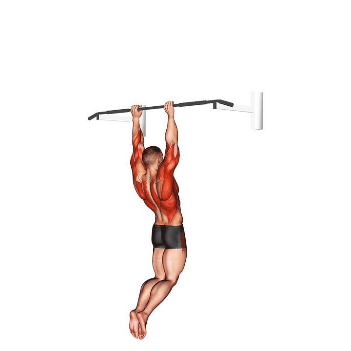 ماسل آپ (Muscle Ups Movement) — حرکت کل بدن (آموزش تصویری)