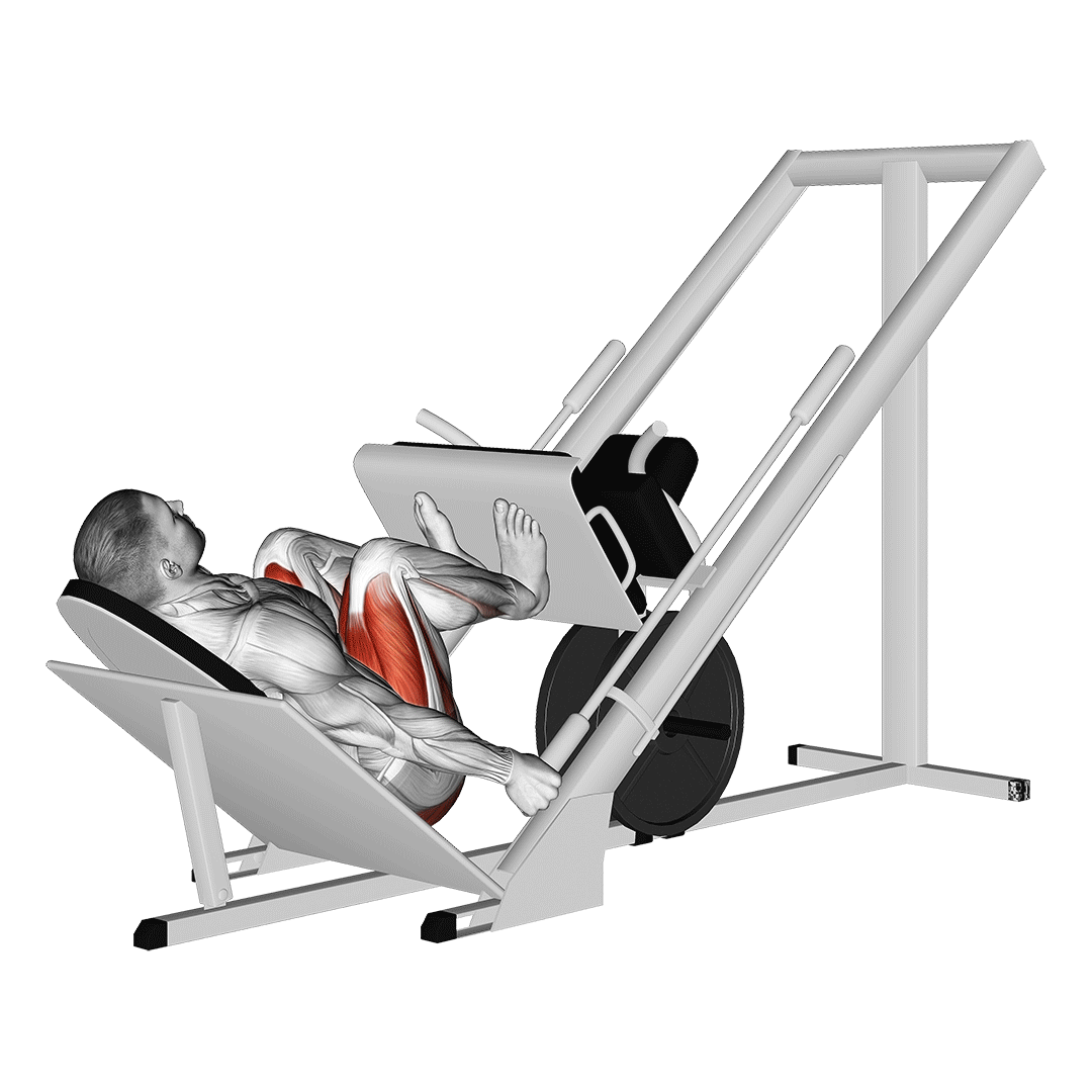 پرس پا پا جمع (Narrow Stance Leg Press) — حرکت چهارسر (آموزش تصویری)