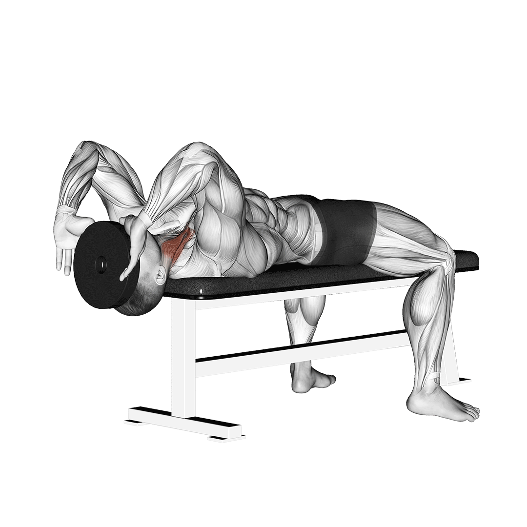 جلو گردن روی میز (Neck Curl Bench) — حرکت سرشانه (آموزش تصویری)