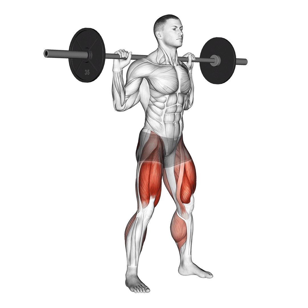 اسکوات منفی (Negative Squat) — حرکت چهارسر (آموزش تصویری)