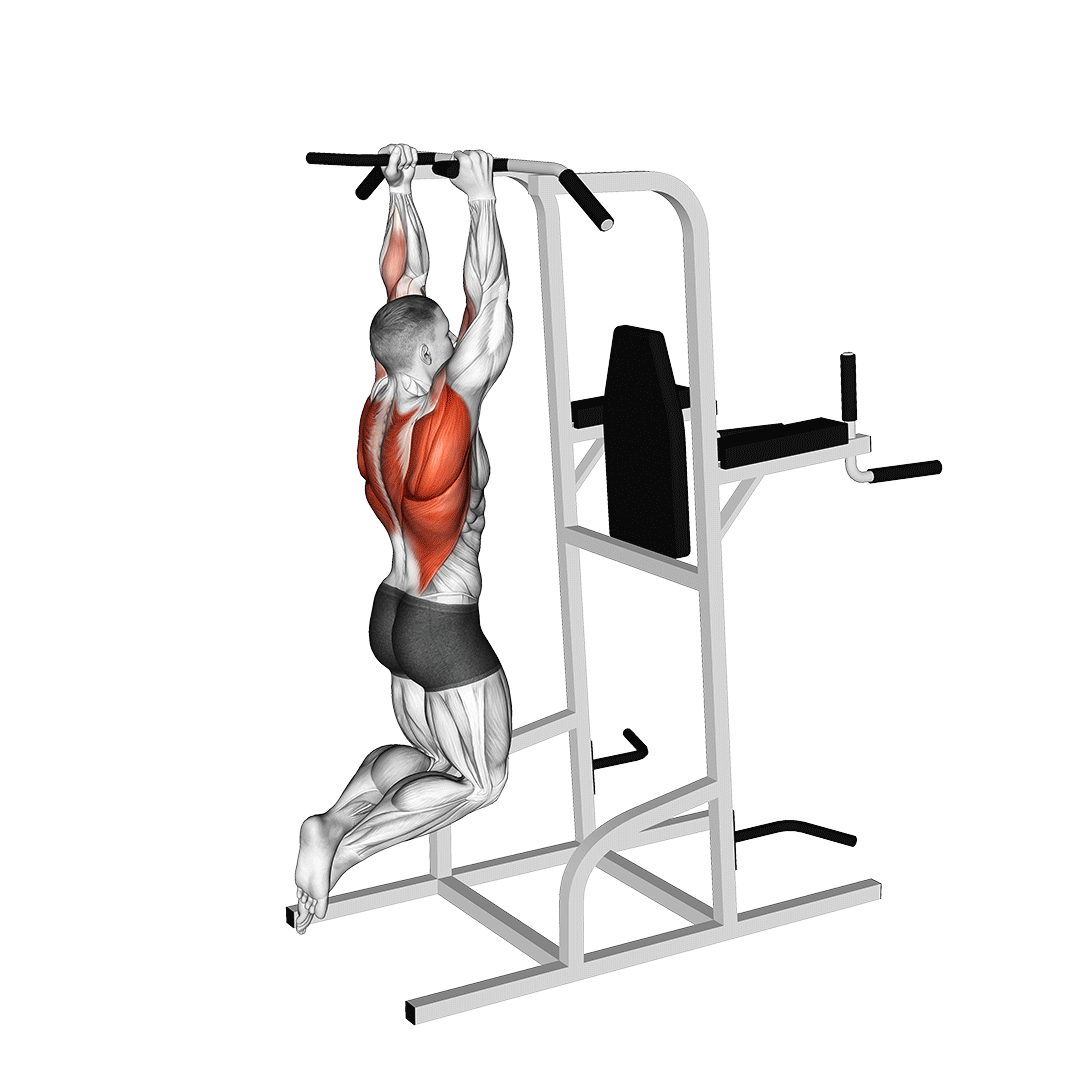بارفیکس دست موازی (Neutral Grip Pull Ups Shoulder Width) — حرکت زیربغل (آموزش تصویری)