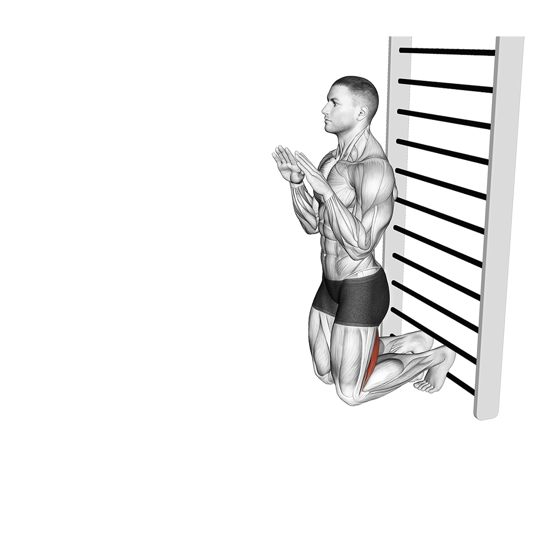 نوردیک همسترینگ (Nordic Hamstring Curl Movement) — حرکت همسترینگ (آموزش تصویری)