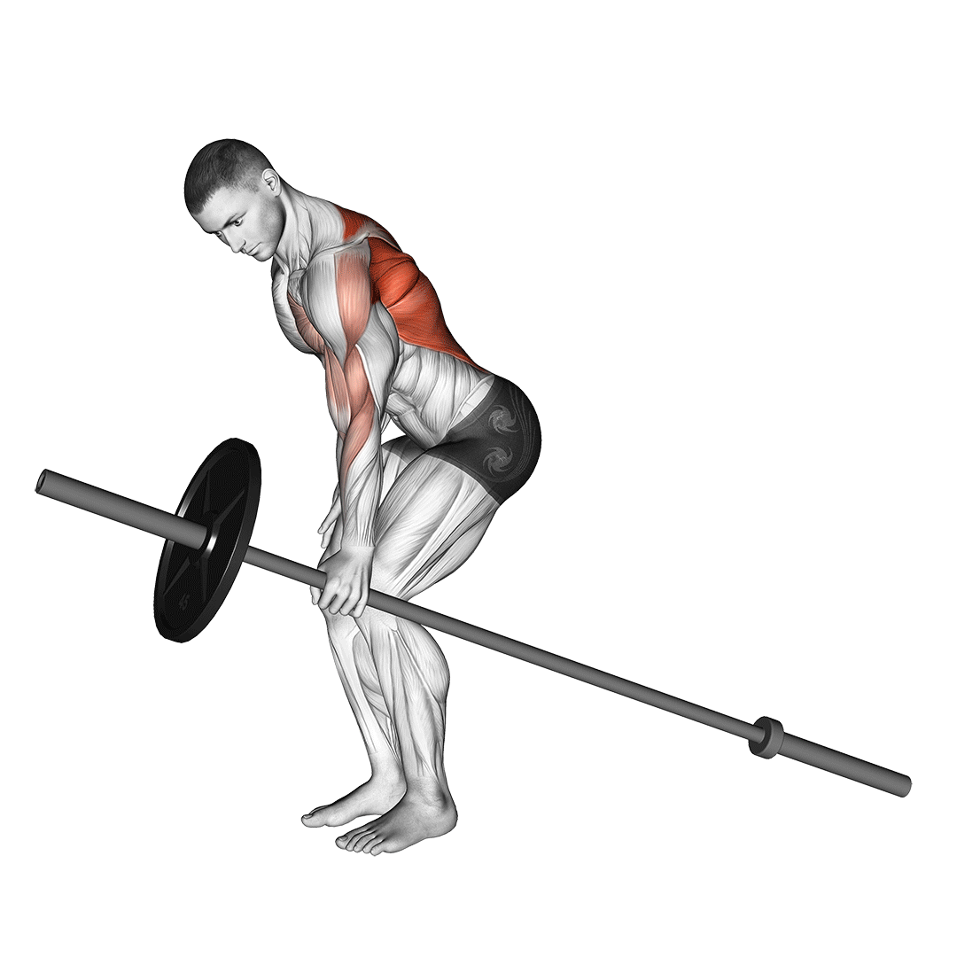 زیربغل تیبار تکدست (One Handed T Bar Row) — حرکت زیربغل (آموزش تصویری)