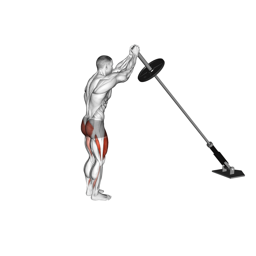 لانژ معکوس لندماین بالای سر (Overhead Landmine Reverse Lunge) — حرکت چهارسر (آموزش تصویری)