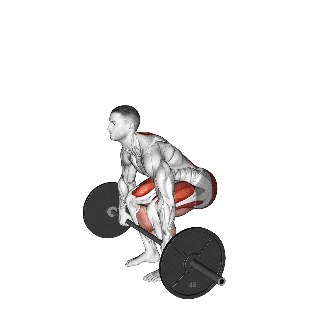ددلیفت با مکث (Pause Deadlift) — حرکت پشت (آموزش تصویری)