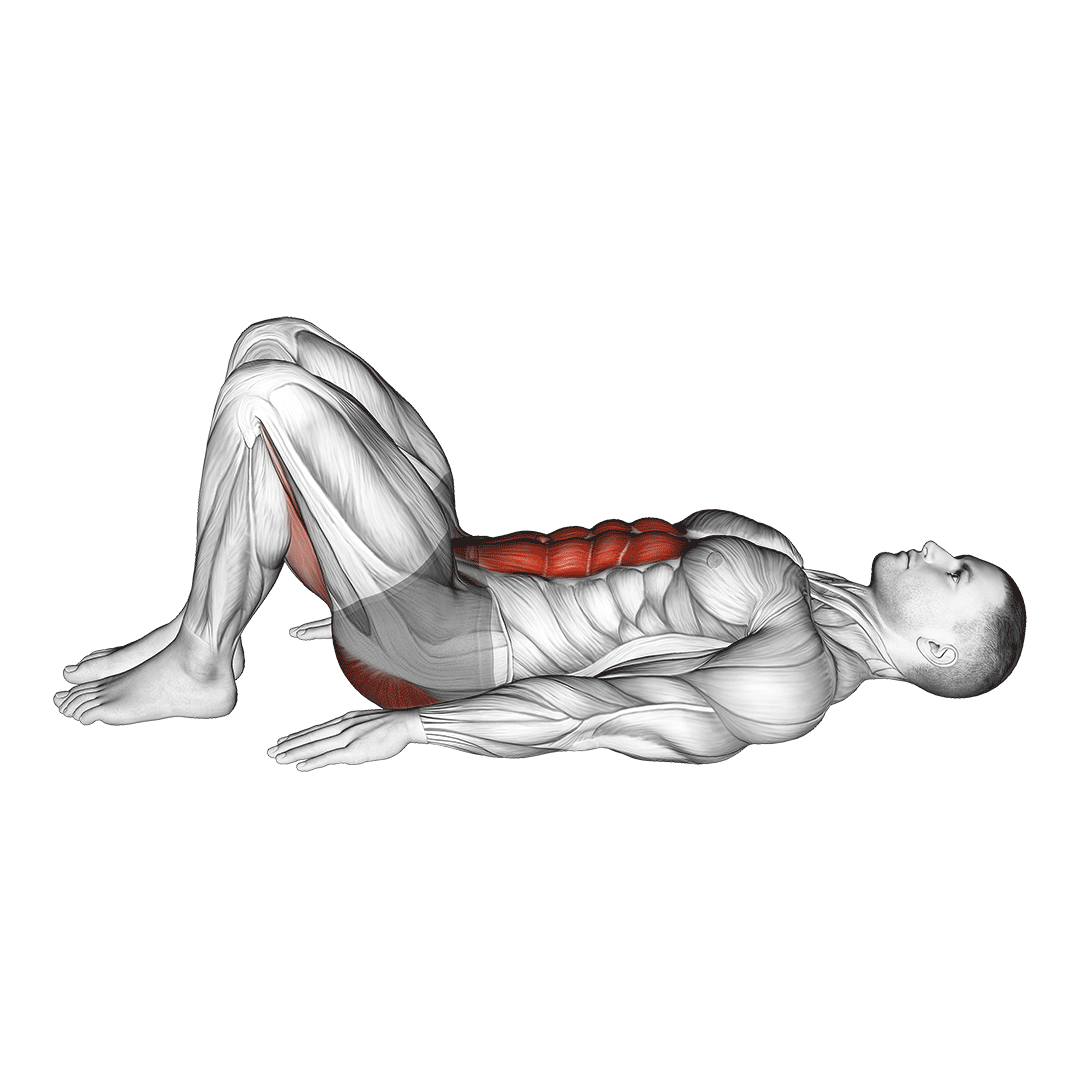 شیب لگن (Pelvic Tilt) — حرکت شکم (آموزش تصویری)