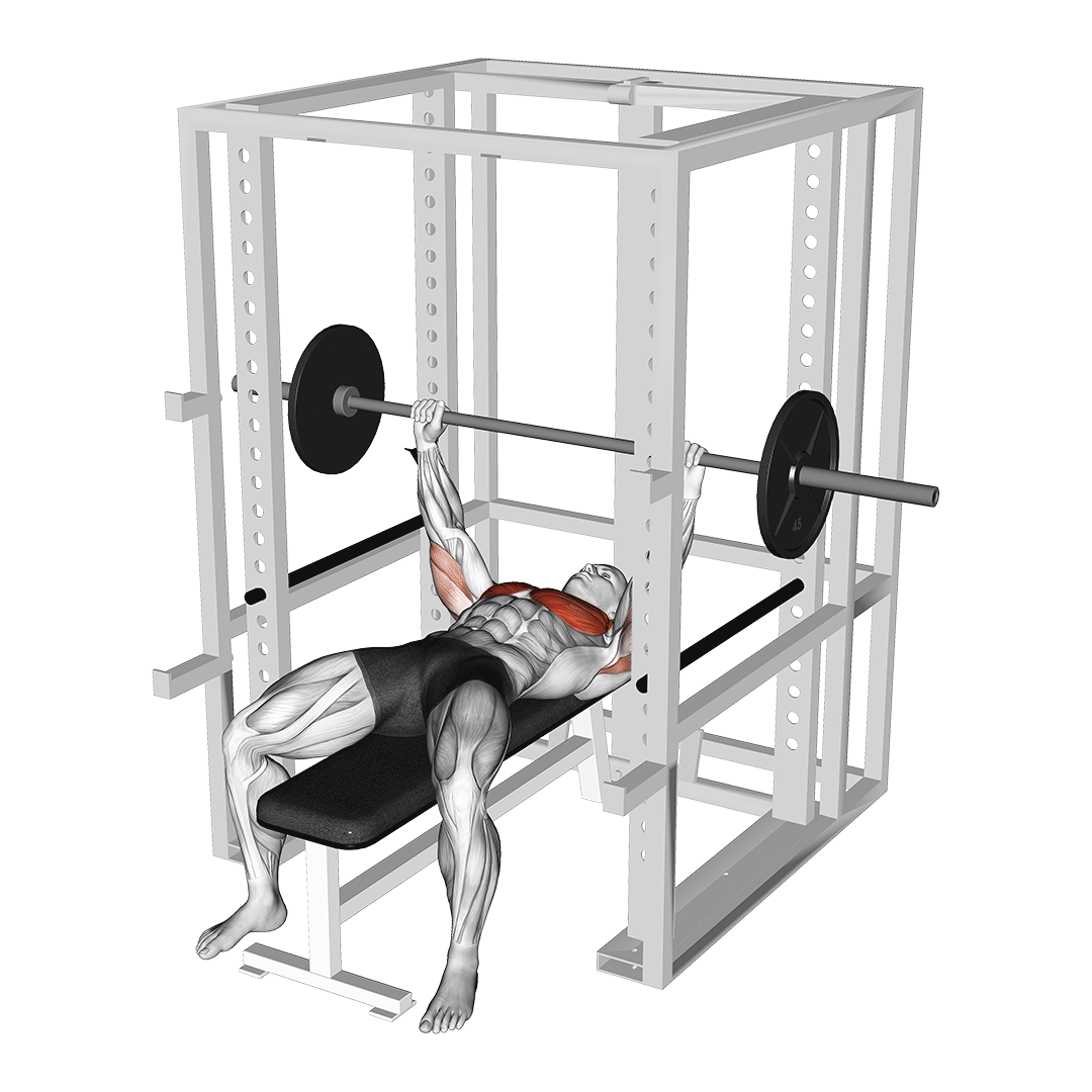 پرس سینه روی پین (Pin Bench Press) — حرکت سینه (آموزش تصویری)