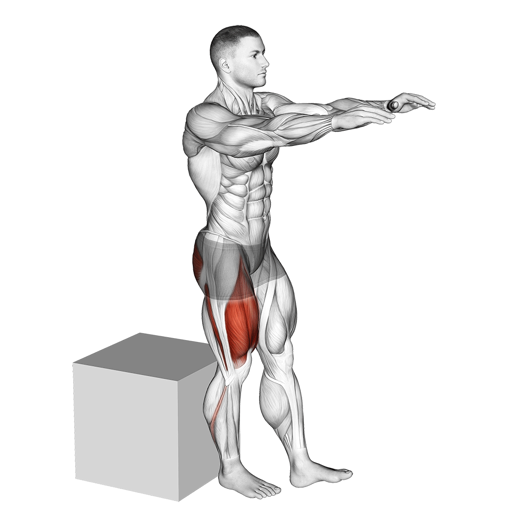 اسکوات تکپا روی باکس (Pistol Squat High Box) — حرکت چهارسر (آموزش تصویری)