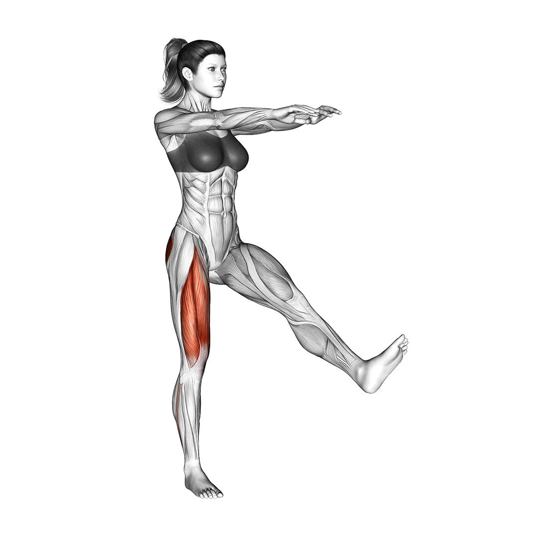 عضلات درگیر اسکوات تکپا (Pistol Squat Muscles) — حرکت چهارسر (آموزش تصویری)