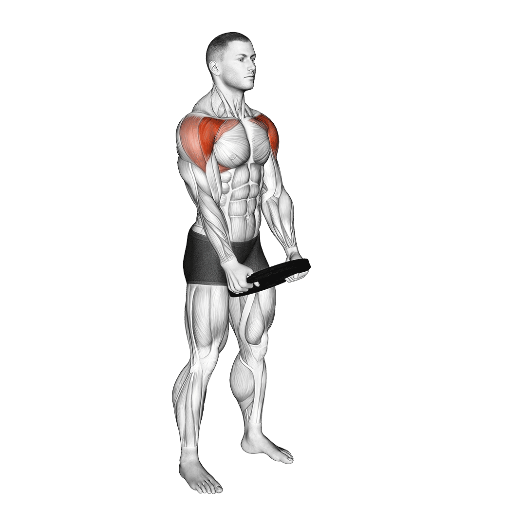 نشر جلو با صفحه (Plate Front Raise) — حرکت سرشانه (آموزش تصویری)
