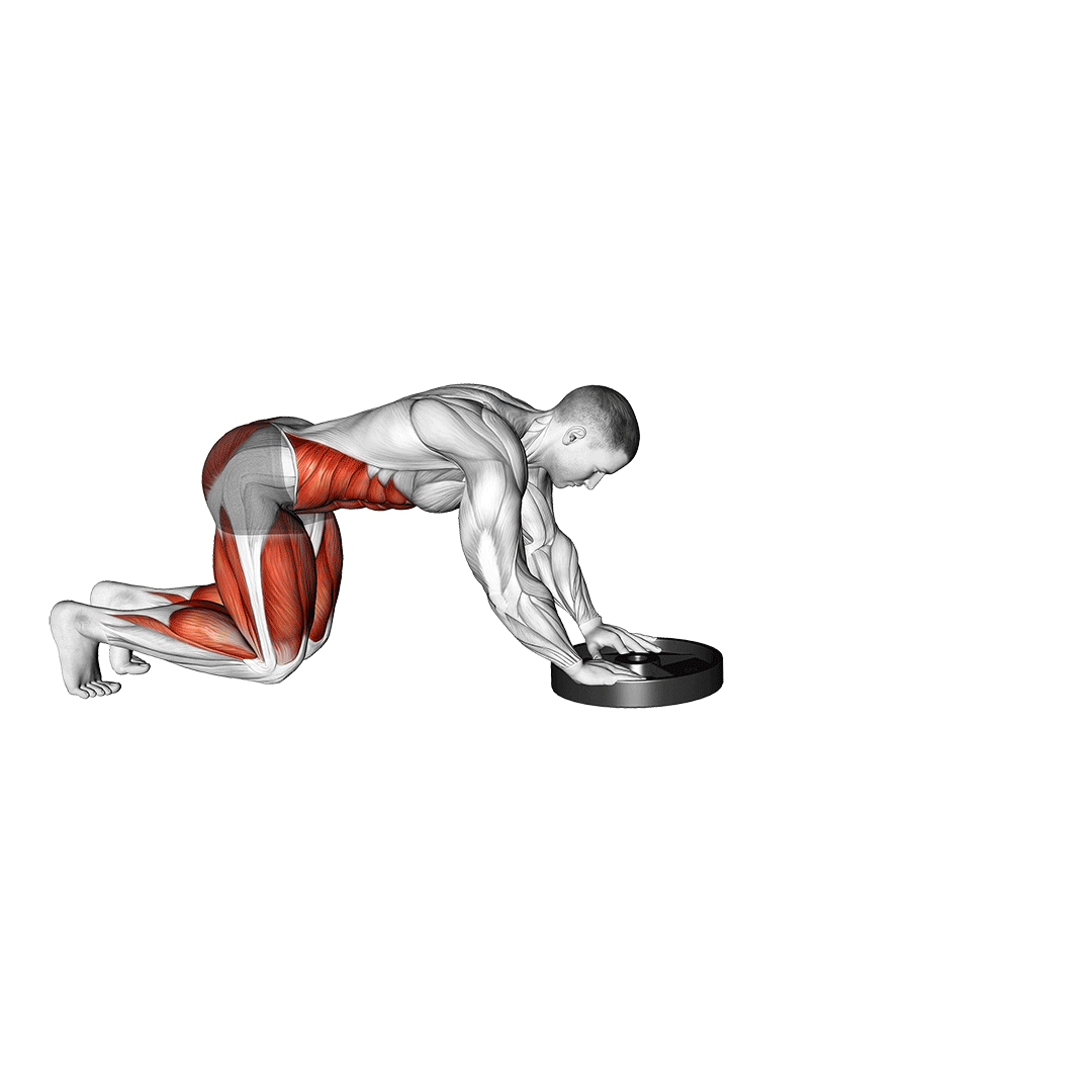 هل دادن صفحه (Plate Push) — حرکت سینه (آموزش تصویری)